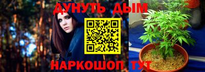 винт Новозыбков