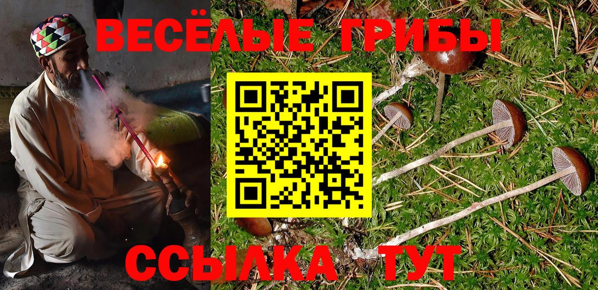 Галлюциногенные грибы прущие грибы Туймазы